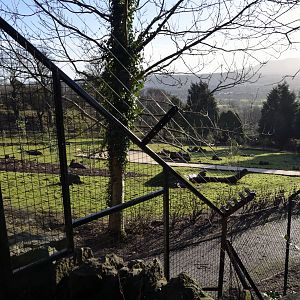 Wallaby Outback Progress Jan 2015