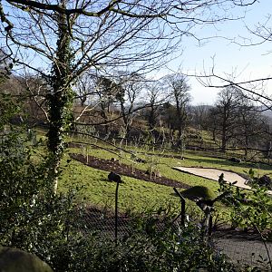 Wallaby Outback Progress Jan 2015