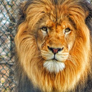 Dec. 2014 - Plains - Nyack