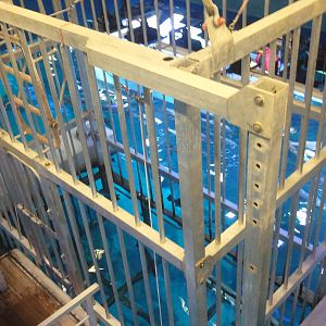 Behind the scene of the Dubai Aquarium 01