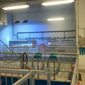 Behind the scene of the Dubai Aquarium 02