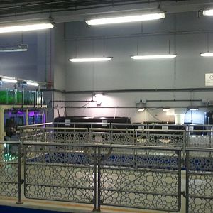 Behind the scene of the Dubai Aquarium 04