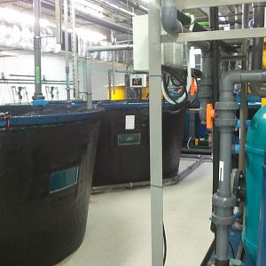 Behind the scene of the Dubai Aquarium 06