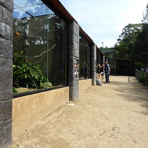 New tamarin and marmoset exhibits