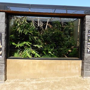 Pygmy Marmoset exhibit