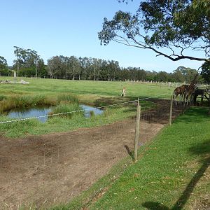 Giraffe/Ostrich exhibit
