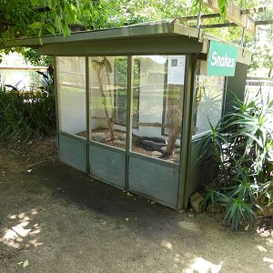 Diamond Python exhibit