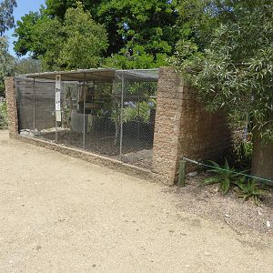 Parrot aviary