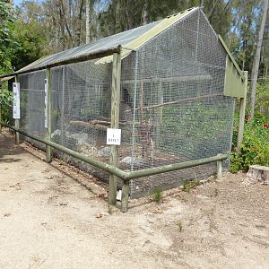 Parrot aviary
