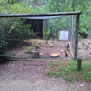 Pheasant aviary