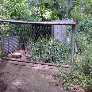 Pheasant aviary