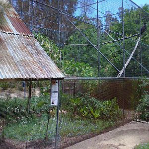 Eagle aviary