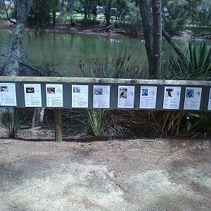 Waterbird signs