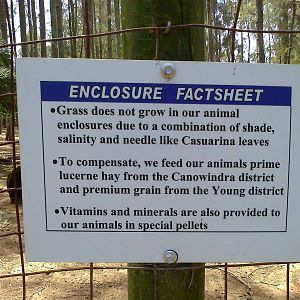 Sign - lack of grass