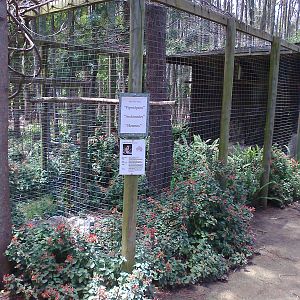 Owl aviary