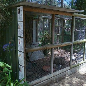 Budgie aviary