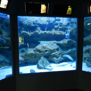 Bay of Biscay aquariums