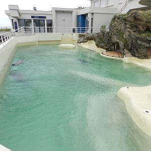Grey Seals enclosure