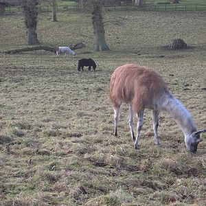 A peaceful scene on Christmas morning, 25th December 2014