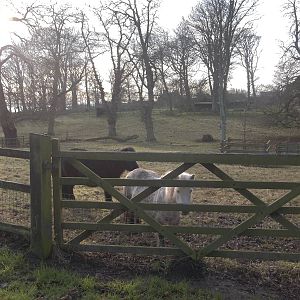 Waiting hopefully, 25th December 2014