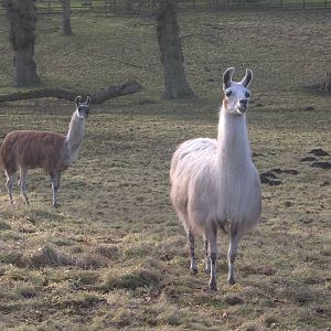 Waiting hopefully, 25th December 2014