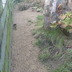 Extension to penguin beach, 25th December 2014