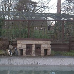 South American panorama, 25th December 2014