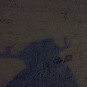 Christmas Day shadow on the wall outside the zoo kitchen, 25th December