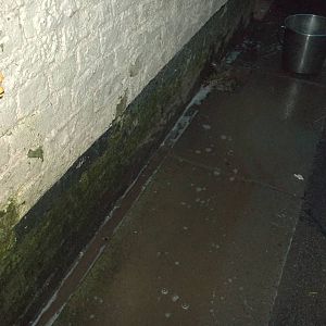 The opportunity for my favourite pastime, 26th December 2014