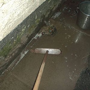 Ooh, that sound sends shivers down my spine; 26th December 2014