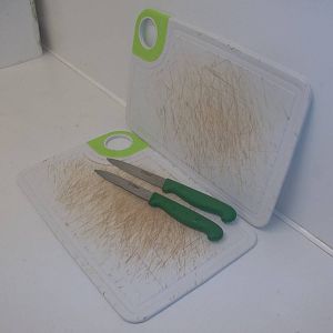 Top marks for Keeper Ed, 28th December 2014