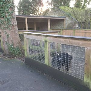 The African Farm temporarily occupied, 29th December 2014