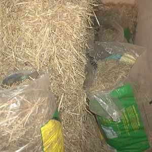 Doing the bagging up - reliving my days as the worst zoo keeper in the coun