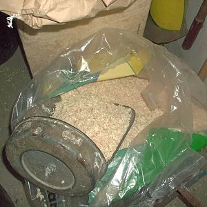 Doing the bagging up - reliving my days as the worst zoo keeper in the coun