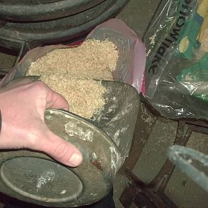 Doing the bagging up - reliving my days as the worst zoo keeper in the coun