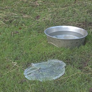 A chilly day, 31st December 2014