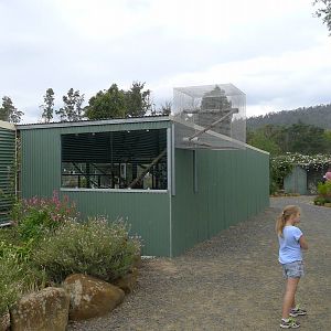 the back of the Marmoset house and view into the zoo