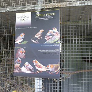 Signage example - Zebra finch