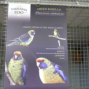 Sign - Green Rosella