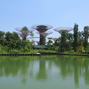 Gardens by the Bay