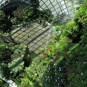 Cloud Forest at Gardens by the Bay