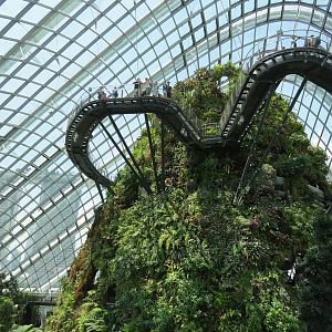 Cloud Forest at Gardens by the Bay