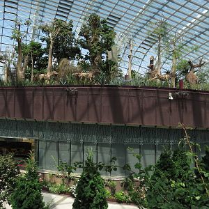 Flower Dome at Gardens by the Bay