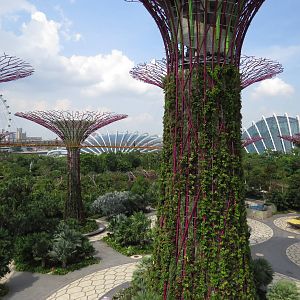 Gardens by the Bay