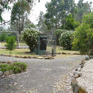 view of small avairy