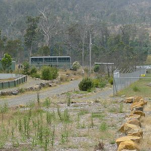 View towards primates and dingos