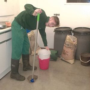 Return of a ZooChatter, 3rd January 2015