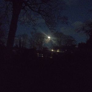 Looking up the zoo from outside the Walk-through Aviary, 3rd January 2015