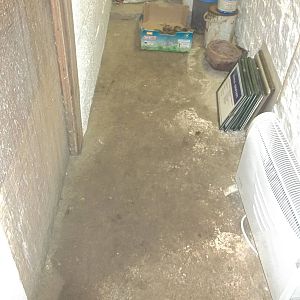 Service passage in front of Eckie swept, 4th January 2015