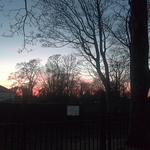 A warm glow over the zoo, 4th January 2015.